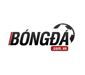 bongda